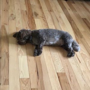 Meet your Posher, Amy